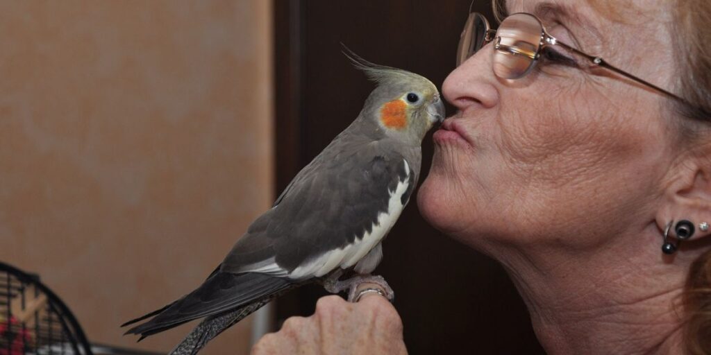 senhora beijando calopsita